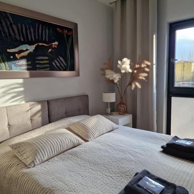 Apartament Nad Struga, Klimatyzacja, Parking,Taras Torun Ngoại thất bức ảnh